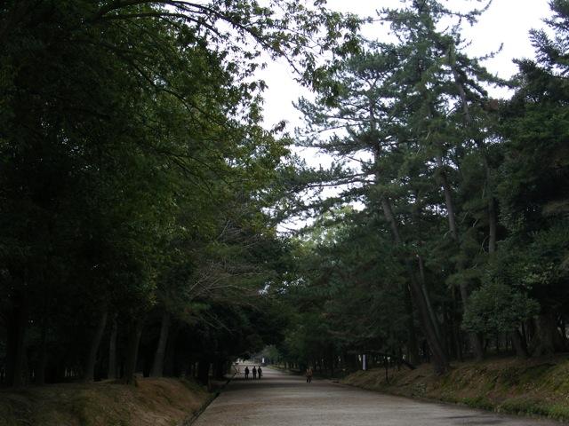 SNV11587.jpg